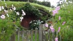 DSCN5325.JPG