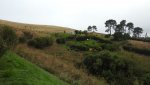 DSCN5327.JPG