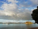 IMG_20200320_185248.jpg