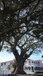 DSCN5374.JPG