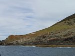 IMG_20200321_145908.jpg