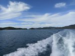IMG_20200321_154742.jpg