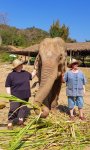 2 08-014 Lanna Kingdom Elephant Sanctuary 1.jpg