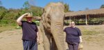 2 08-019 Lanna Kingdom Elephant Sanctuary 1.jpg