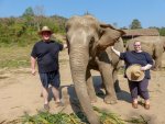 2 08-060 Lanna Kingdom Elephant Sanctuary 1.jpg