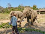 2 08-061 Lanna Kingdom Elephant Sanctuary 1.jpg