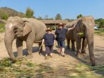 2 08-062 Lanna Kingdom Elephant Sanctuary 1.jpg
