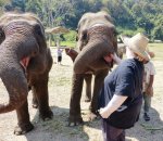 2 08-079 Lanna Kingdom Elephant Sanctuary.JPG