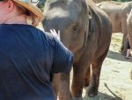2 08-085 Lanna Kingdom Elephant Sanctuary 1.jpg