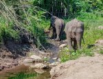 3 08-045 Lanna Kingdom Elephant Sanctuary 1.jpg