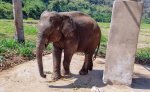 3 08-026 Lanna Kingdom Elephant Sanctuary 1.jpg