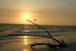 06 - Ft. Myers Beach.jpg