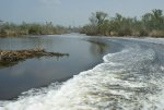 02 - Jungle Erv's Airboat Tour.jpg