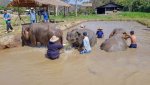 3 08-100 Lanna Kingdom Elephant Sanctuary 1.jpg