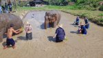3 08-103 Lanna Kingdom Elephant Sanctuary 1.jpg