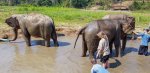3 08-109 Lanna Kingdom Elephant Sanctuary 1.jpg