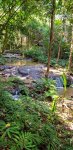 10-187 Pu Kaeng Waterfall 1.jpg
