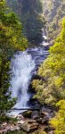 11-050 Doi Inthanon NP Sirithan Waterfall 1.jpg