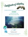 adoptioncertificate howie-001.jpg adoptioncertificate howie-001.jpg