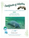 adoptioncertificate (98) DOC-001.jpg adoptioncertificate (98) DOC-001.jpg