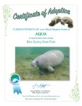 adoptioncertificate AQUA-001.jpg