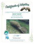 adoptioncertificate DEEP DENT-001.jpg