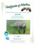 adoptioncertificate GATOR-001.jpg