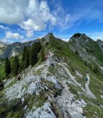 IMG_8742.JPG