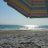 florida2