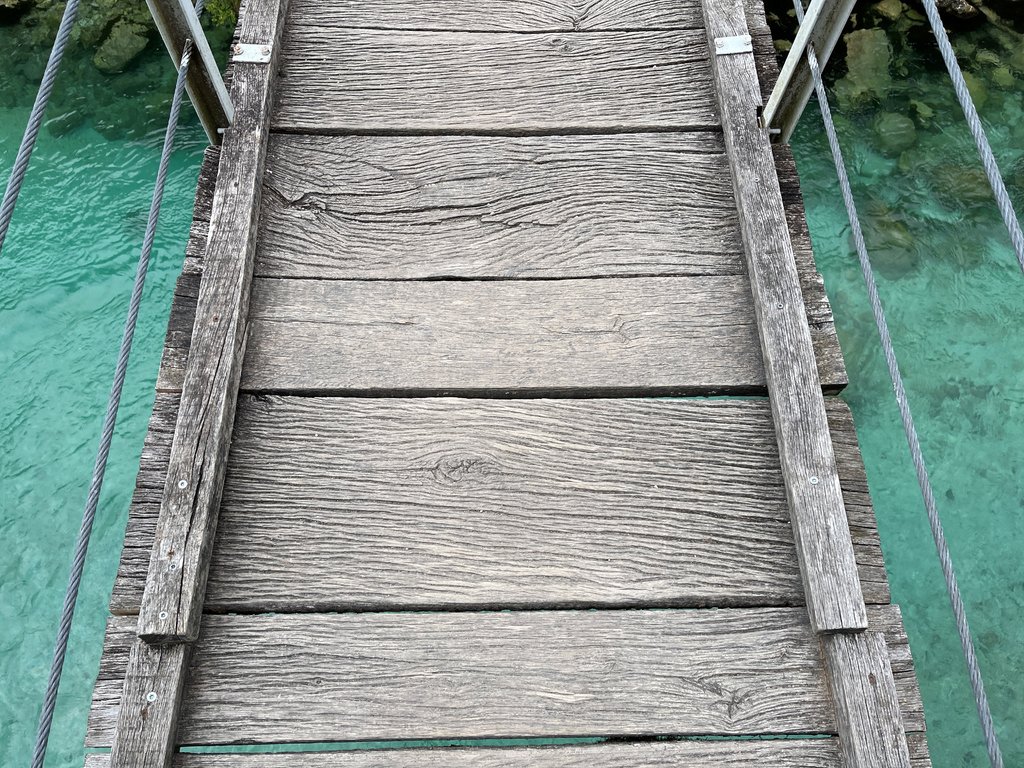 46077733ap.jpg