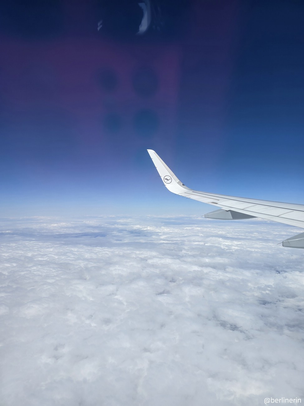 LV24_20250823_123105.jpg
