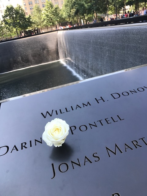 30564449pr.jpg