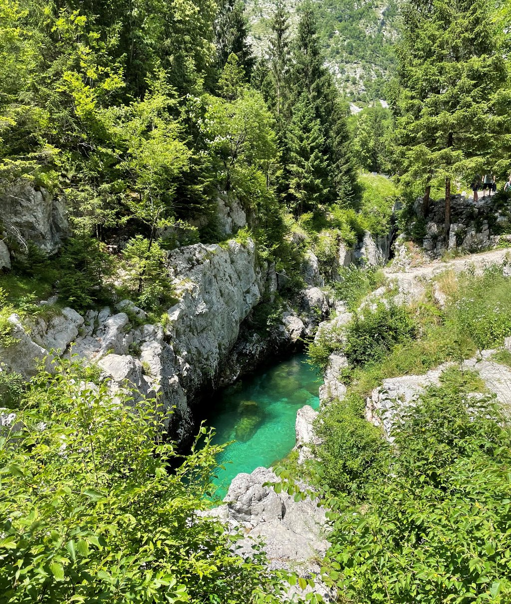 46050630lq.jpg