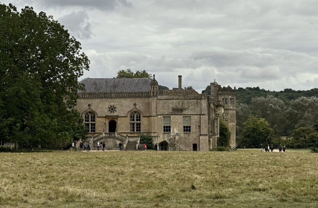 49503187jo.jpg