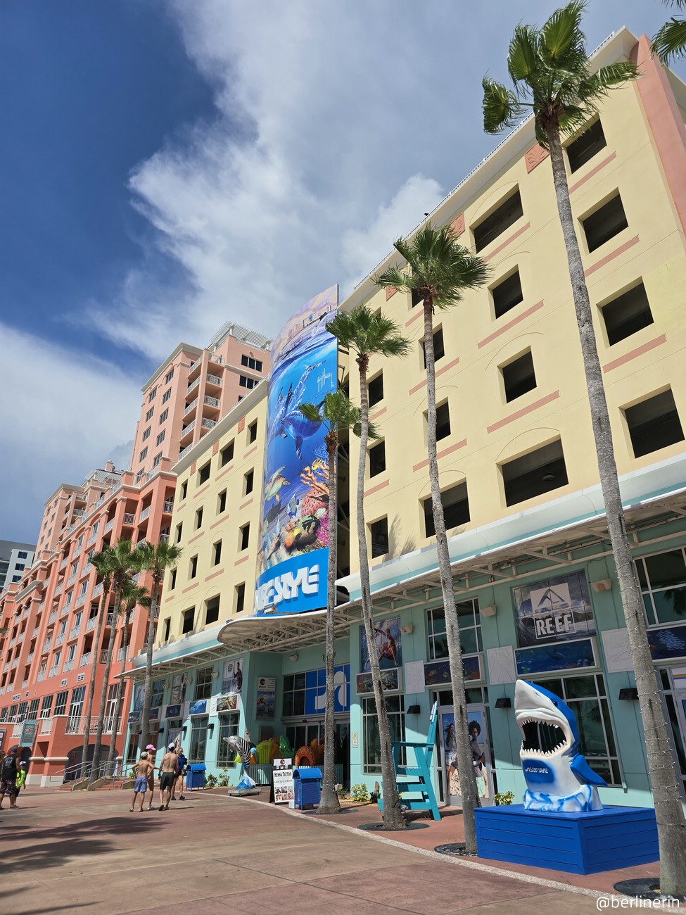 LV24_20250819_155118.jpg