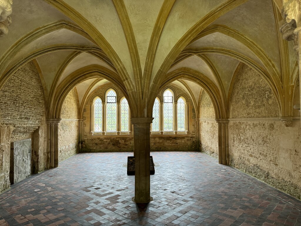 49503204vh.jpg