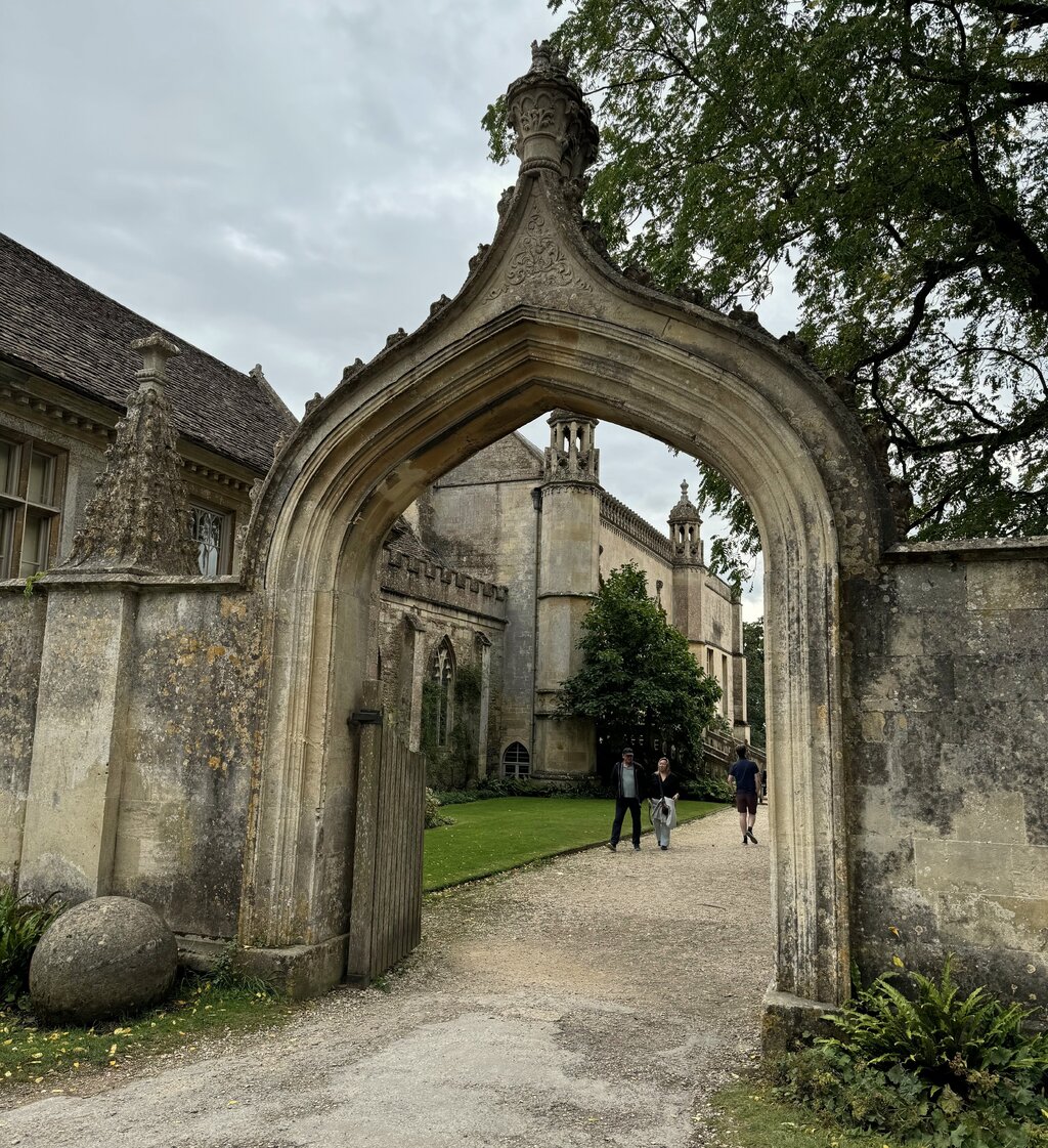 49503185sc.jpg