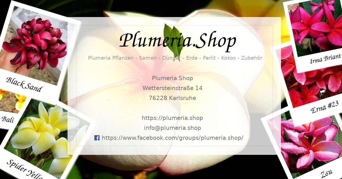 plumeria.shop